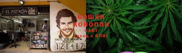 гидра Алзамай