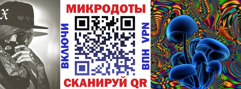 hydra ONION  Боровичи  Галлюциногенные грибы Psilocybe 